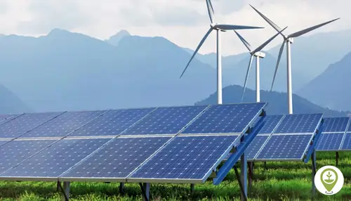Renewable Energy & Sustainability