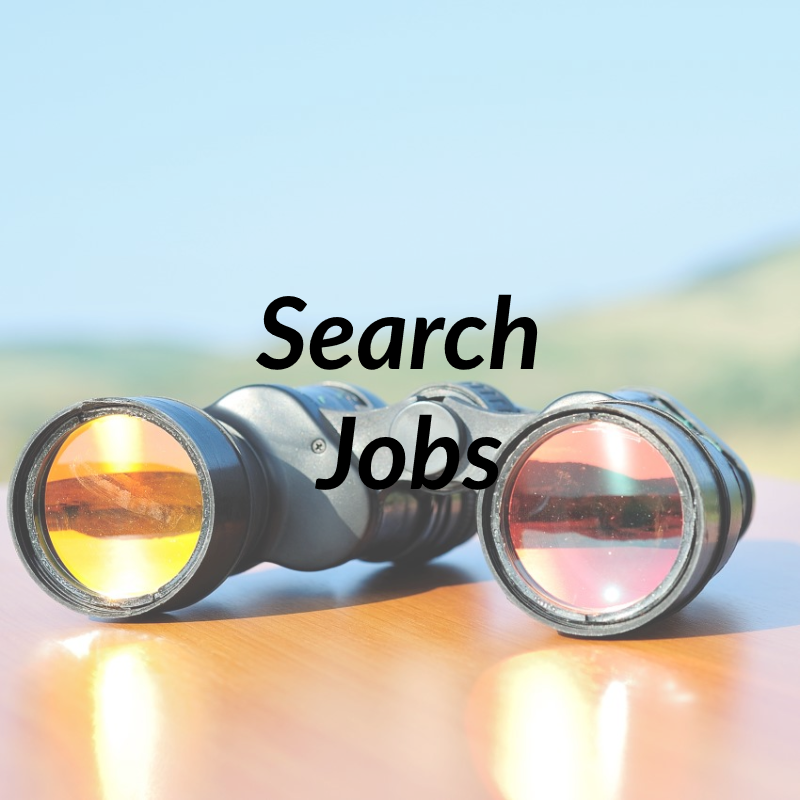 Search Jobs